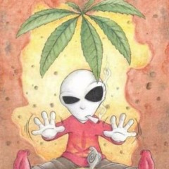 Set Acid Tek Noconfiné [P2B]