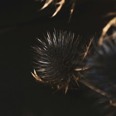 Dont Wanna Fall In Love Again