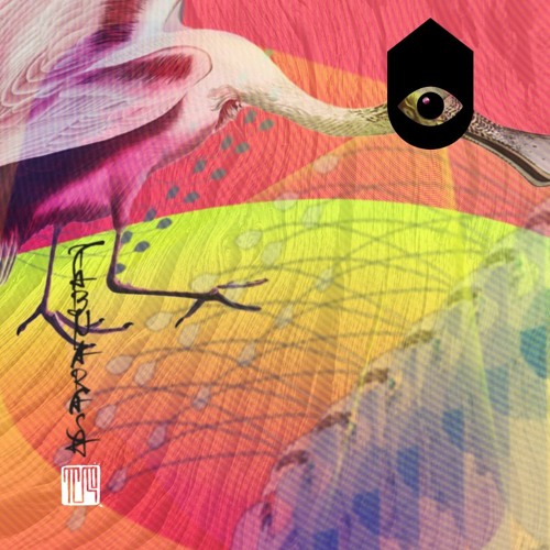 Osunlade @ Casa Rasa - Birds of Paradise I Feb 2020