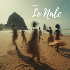 Sytekk - Le Nale