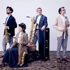 Le Quatuor Avena, Une Étoile Qui Scintille Depuis 2016