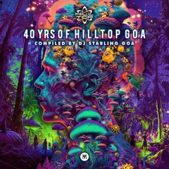 Shivatree & Space Cat - Divine Inspiration (Original Mix)