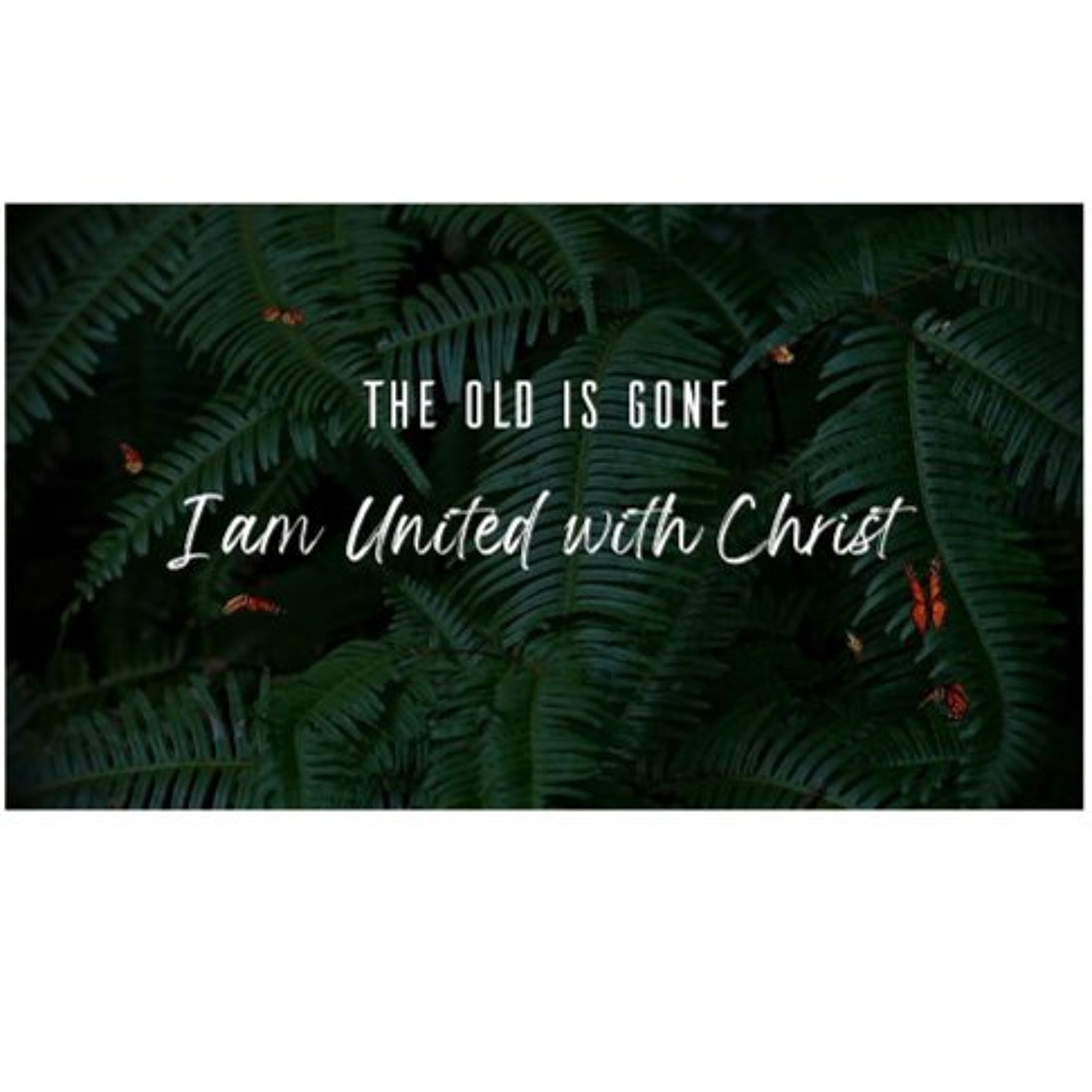 The Old Has Gone | Free/Shame Free (Sermon) episode artwork