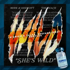 Merk & Kremont - She's Wild (D'Amico & Valax, Stefano Iezzi Bootleg)