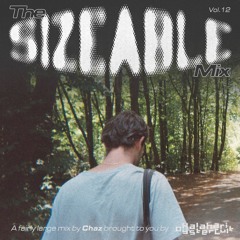 The Sizeable Mix Vol. 12: Chaz