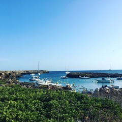 Rockpools