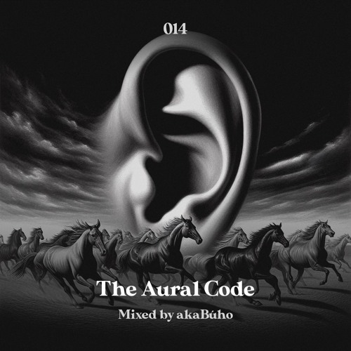 The Aural Code #14 Mixed By akaBúho