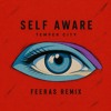Temper City - Self Aware (Feeras Remix)