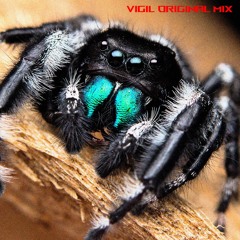 vigil original mix