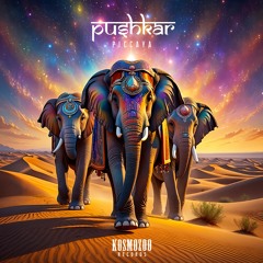 Piccaya - Pushkar (Original Mix)