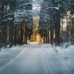 Frosty Gallop