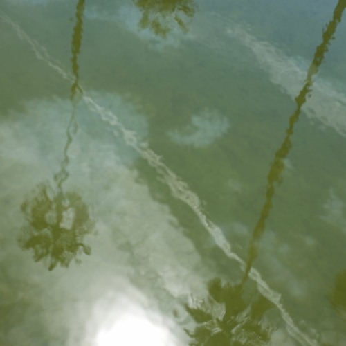 You Move Like Water - collage for La Capsule de Sophie