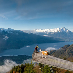 Pilzi filzli im Berner Oberland