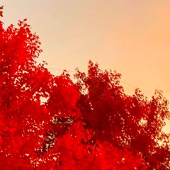 last fall