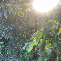 undergroundinterlude