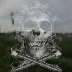 ⋆༺𓆩☠︎︎𓆪༻⋆