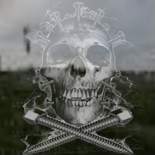 ⋆༺𓆩☠︎︎𓆪༻⋆