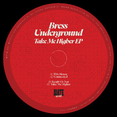 PREMIERE: Bress Underground 'Take Me Higher' [MATE Records]
