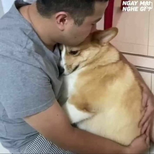 "Dĩ vãng" vang vọng