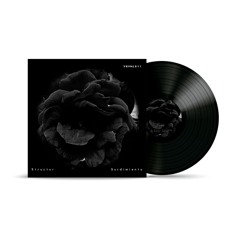 [VRVNL011] Structur - Surdimientu (Previews)