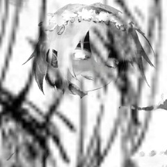 062425