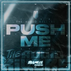 The Audio Killers - Push Me (Skamele Recordings)