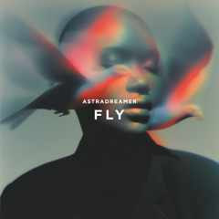 Fly