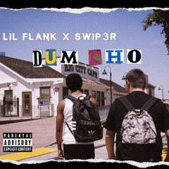 Flank x Swip3r - dumb cho