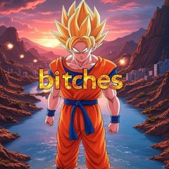 CATBOOM - BITCHES