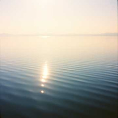 Still Lake