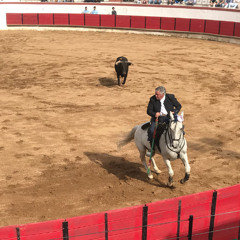Once an ancient Portuguese war game, bullfights now entertain the public, by Manuel  Carmona