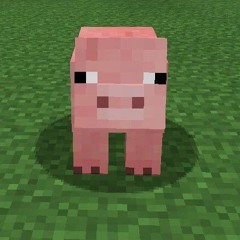 Pig rap