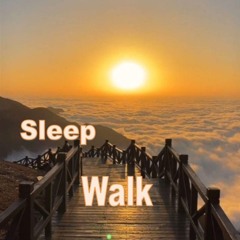 Sleep Walk  ORGAN SLOW 5'12''