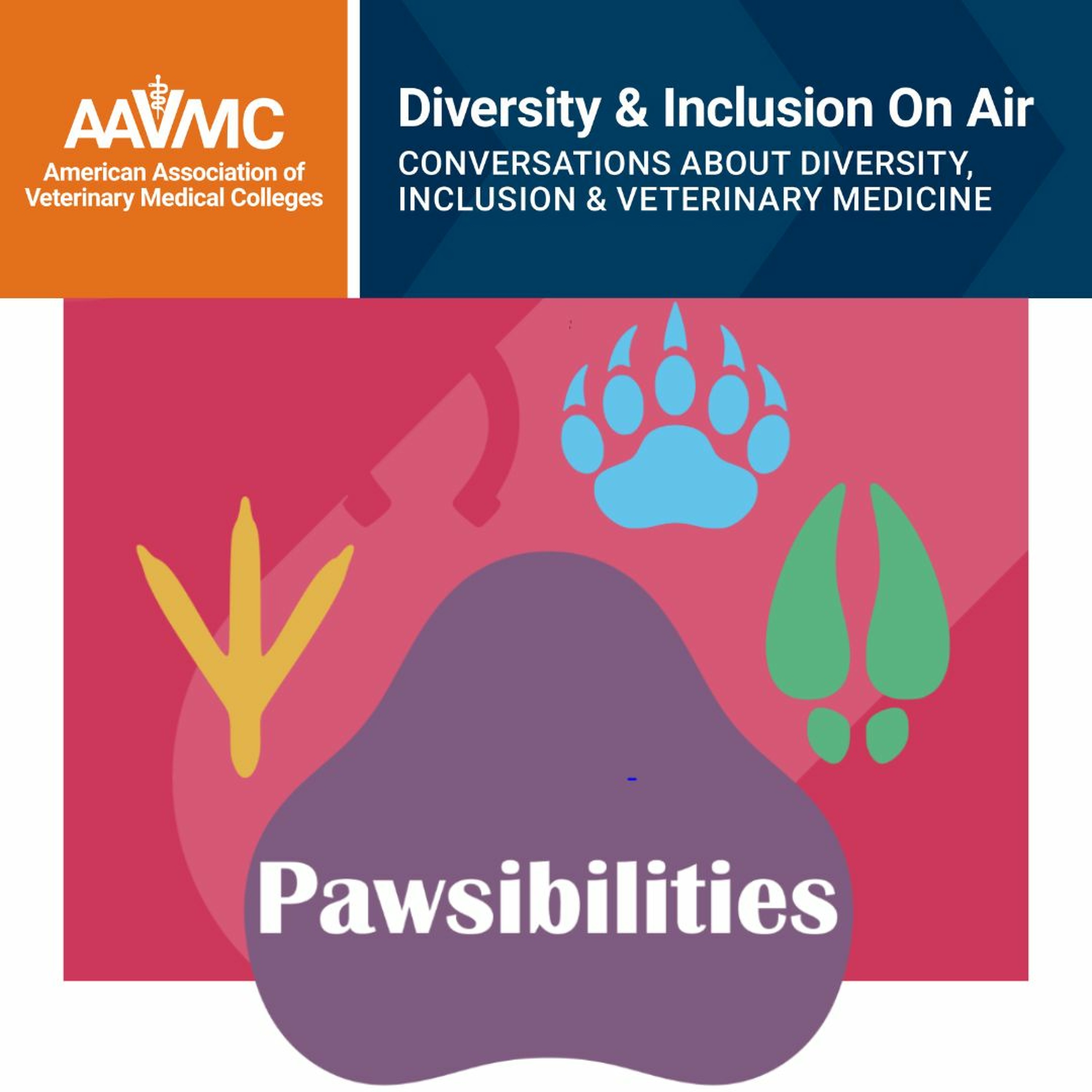 AAVMC\'s On Air: Conversations about Issues in Veterinary Medicine