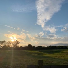 Naturbil . Fortbewegung . Schlamunzelmann bei Schnaggeldachs . 23/11