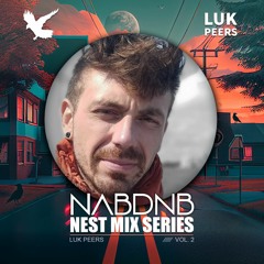 NAB DNB Nest Mix Series [Luk Peers] - Vol 2