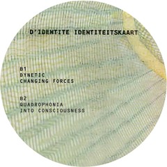 B1 Dynetic - Changing Forces (snippet)