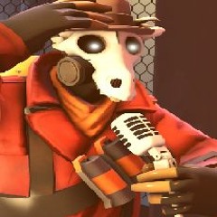 Drevilguy Vs The IRS