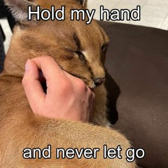 Misconception (demo)