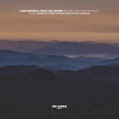 Lupe Republic, RYAN (AR) - Papa Ryan (Naturae Remix) [3rd Avenue]