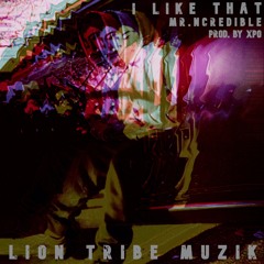Mr. Ncredible - I Like That sample [Prod. Xpo]