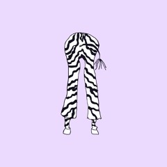 [OUT NOW] Snippets: Rustam - Zebra Leggings EP