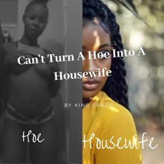 Cant Turn A Hoe Into A House Wife  King Crazii Ft Nino Brown