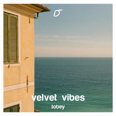 tobey - velvet vibes