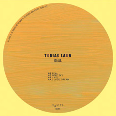 Tobias Laun - Luzid Dream