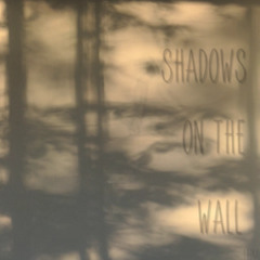 Shadows on the wall