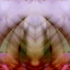 The lost Beats of LoFi Dub