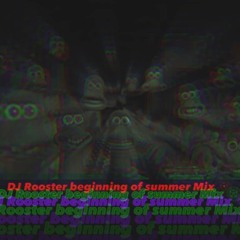 DJ Rooster beginnig summer mix