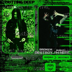 Destroy (BLKSLK X Snowblood Remix)