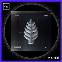 PREMIERE: Syhr - Stone Pines | Tomorrow's Monday Records